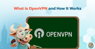 What is OpenVPN and How It Works