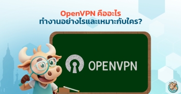 OpenVPN คืออะไร ทำงานอย่างไรและเหมาะกับใคร?