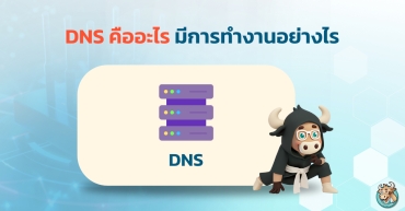 DNS คืออะไร มีการทำงานอย่างไร