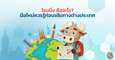 โรมมิ่ง คืออะไร? มือใหม่ควรรู้ก่อนเดินทางต่างประเทศ
