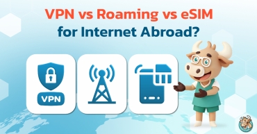 VPN vs Roaming vs eSIM for Internet Abroad?