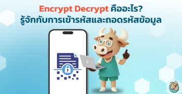 Encrypt Decrypt คืออะไร? รู้จักกับการเข้ารหัส ถอดรหัสข้อมูล